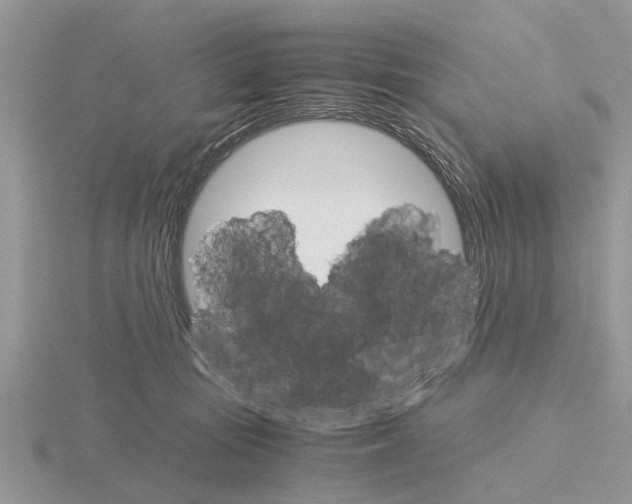 X0000115700371200912101220