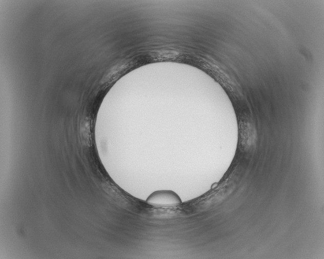 X0000115700378200912101220