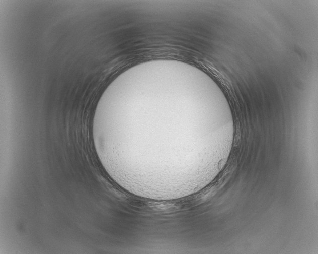 X0000115700379200912101220