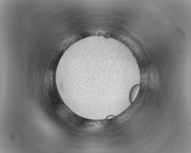 X0000115700381200912101220