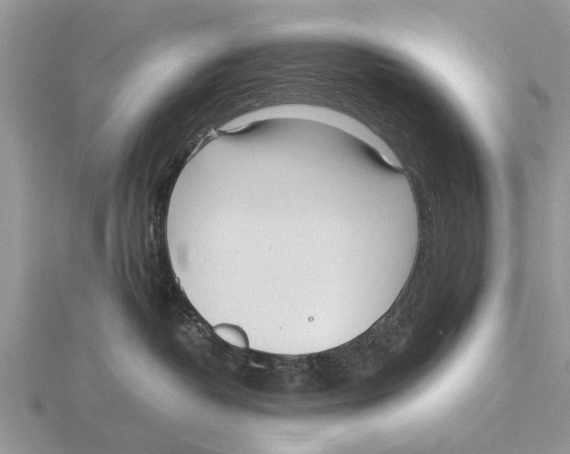 X0000115700382200912101220