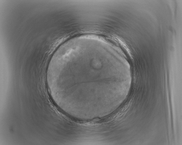 X0000115700385200912101220