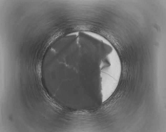 X0000115700386200912101220