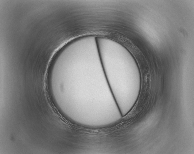 X0000115700388200912101220