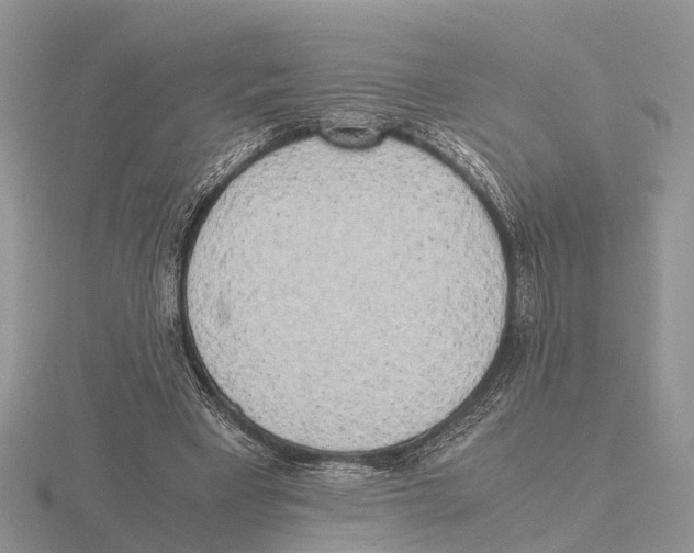 X0000115700393200912101219