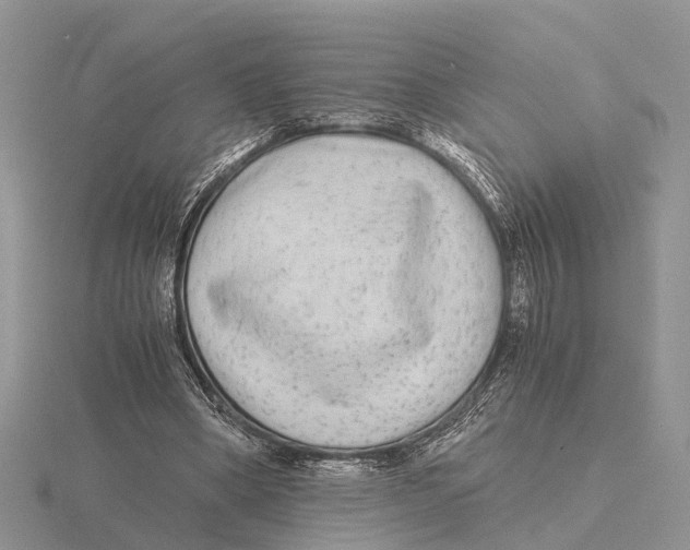 X0000115700394200912101219