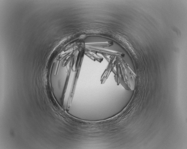 X0000115700395200912101219