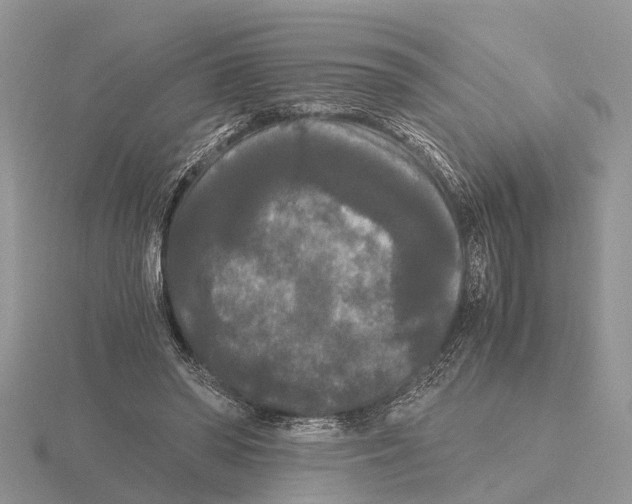 X0000115700398200912101219