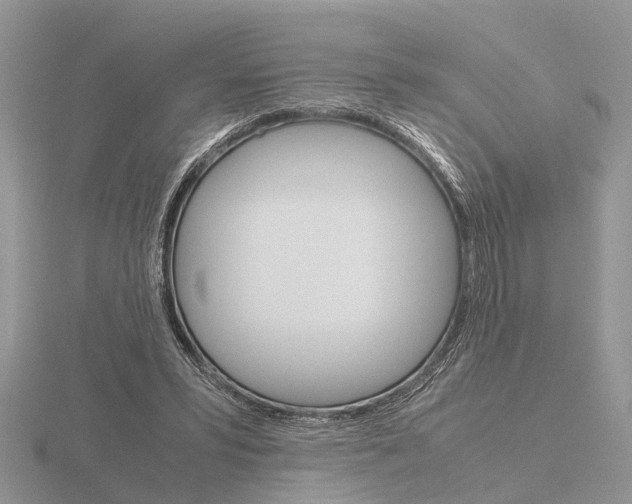 X0000115700399200912101219