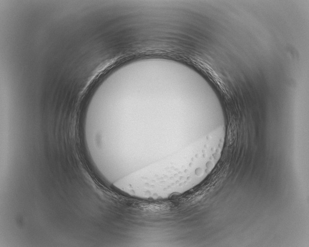 X0000115700400200912101219