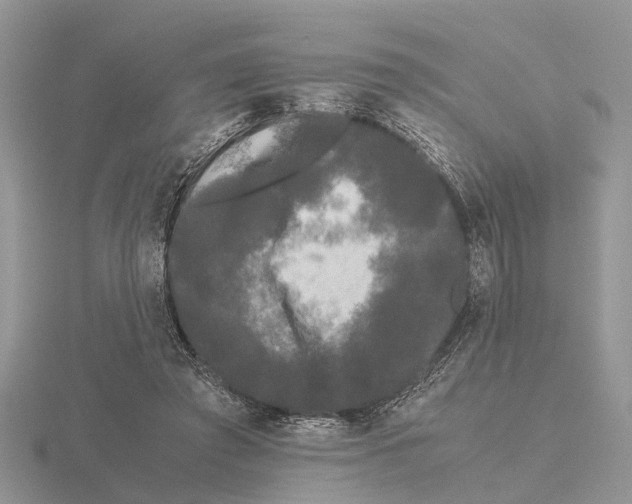 X0000115700401200912101219