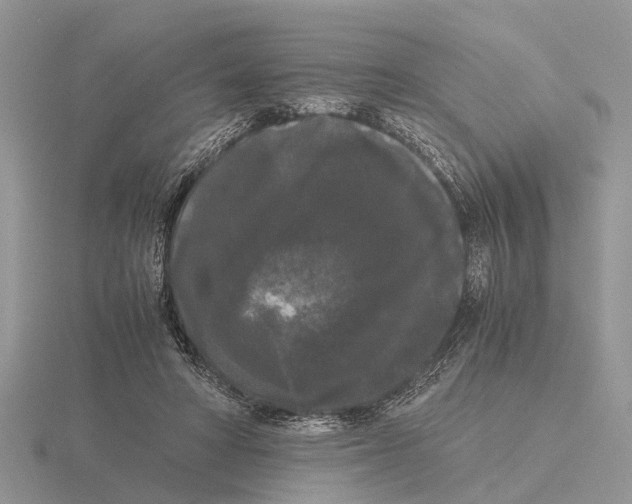 X0000115700402200912101219