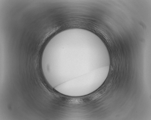 X0000115700404200912101219