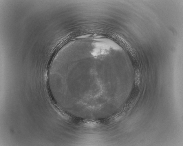 X0000115700405200912101219