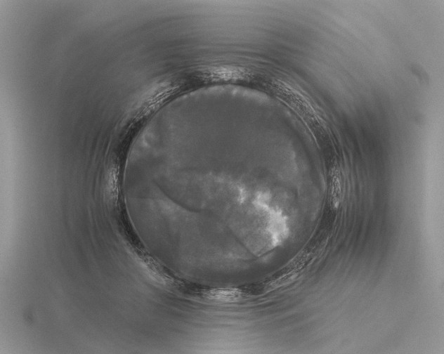 X0000115700410200912101219