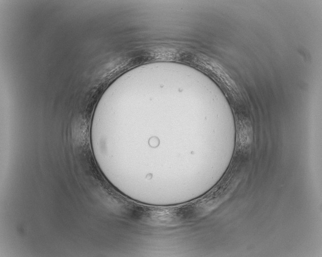 X0000115700411200912101219