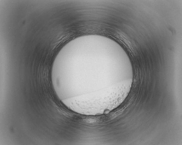 X0000115700412200912101219