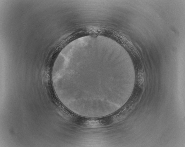 X0000115700413200912101219