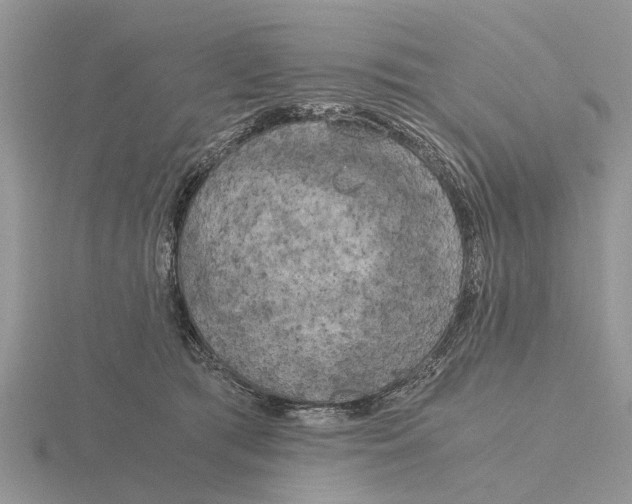 X0000115700417200912101219