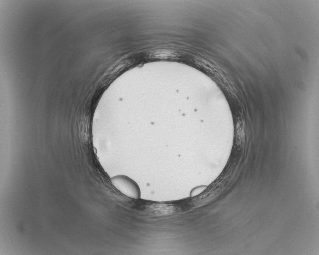 X0000115700421200912101219