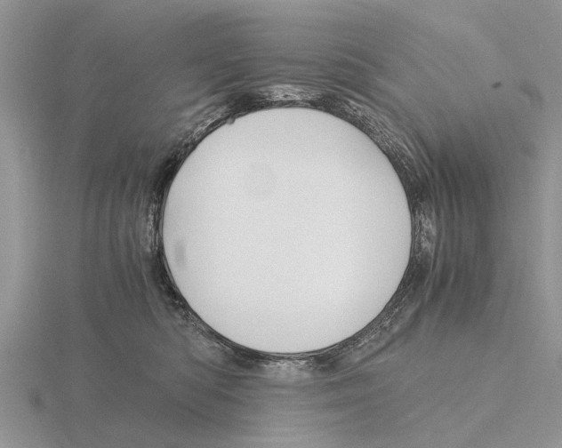 X0000115700422200912101219