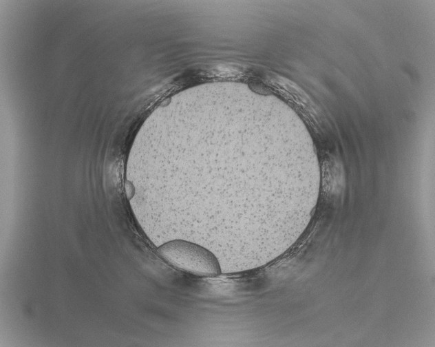 X0000115700425200912101219