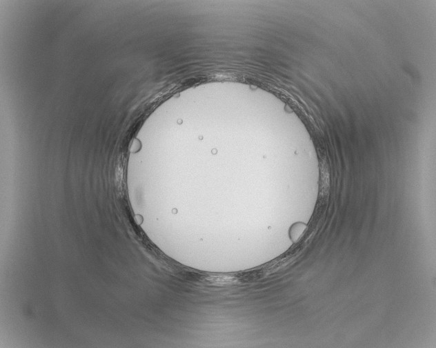 X0000115700427200912101219