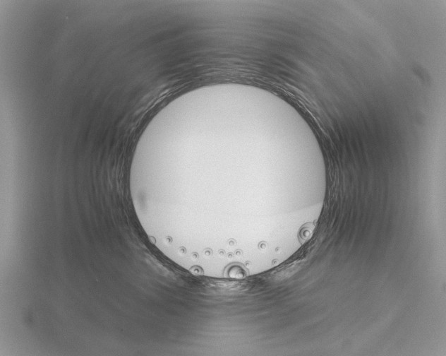 X0000115700428200912101219