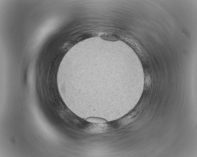 X0000115700429200912101219