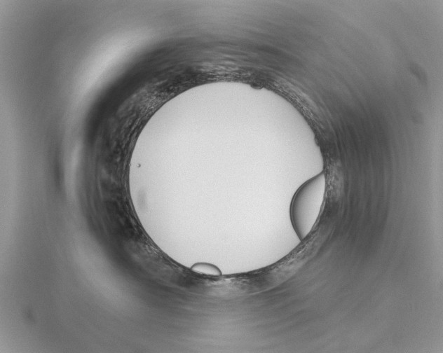 X0000115700430200912101219