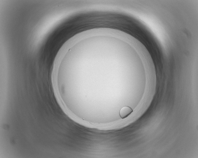 X0000115700431200912101219