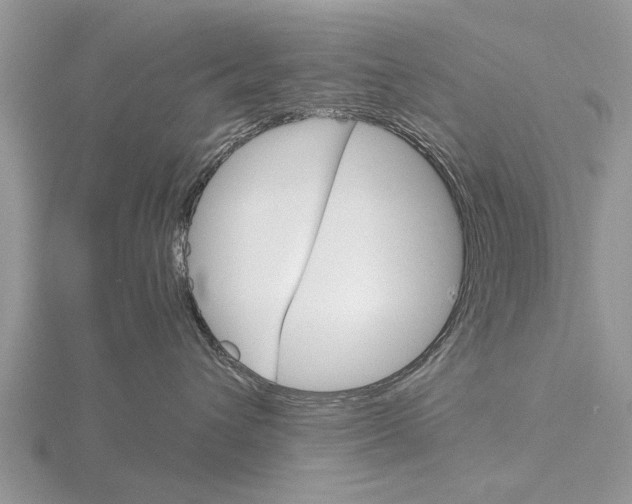 X0000115700432200912101219