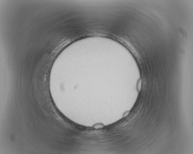 X0000115700433200912101218