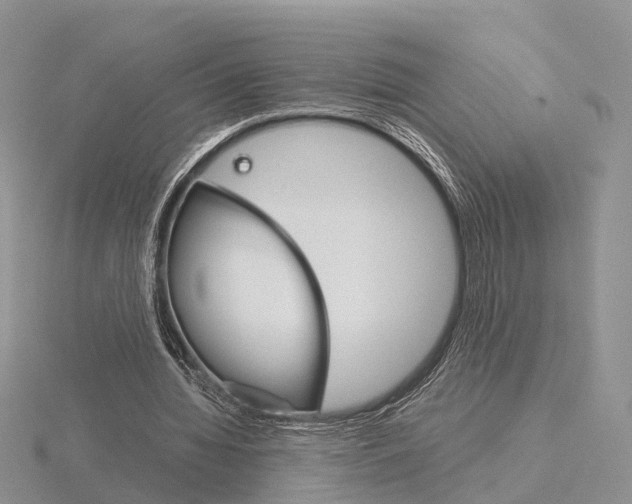 X0000115700436200912101218