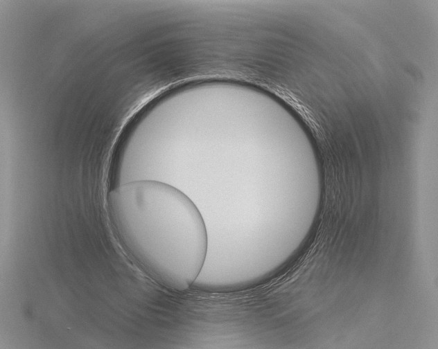 X0000115700440200912101218