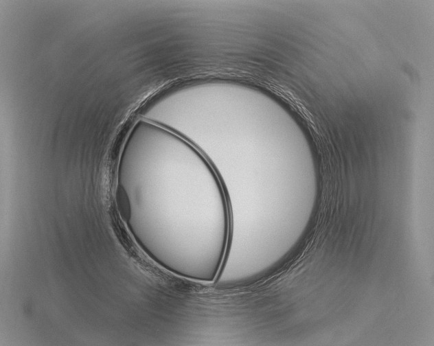 X0000115700444200912101218