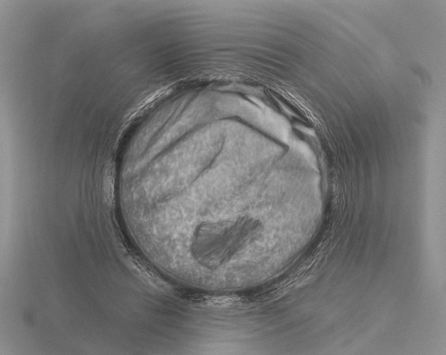 X0000115700446200912101218