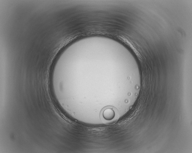 X0000115700447200912101218