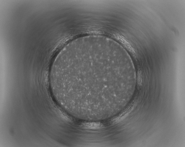 X0000115700449200912101218