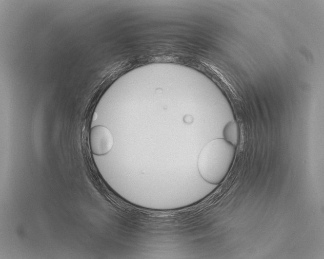 X0000115700451200912101219