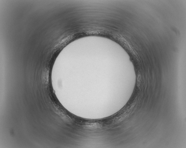 X0000115700454200912101219