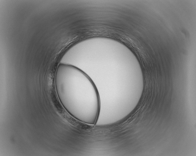 X0000115700456200912101219