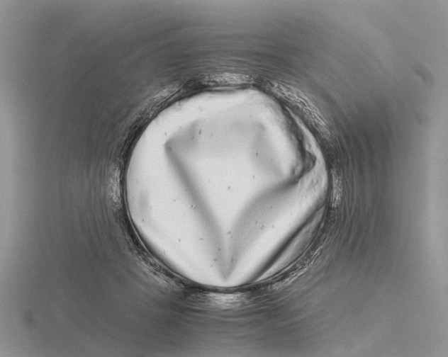 X0000115700457200912101219