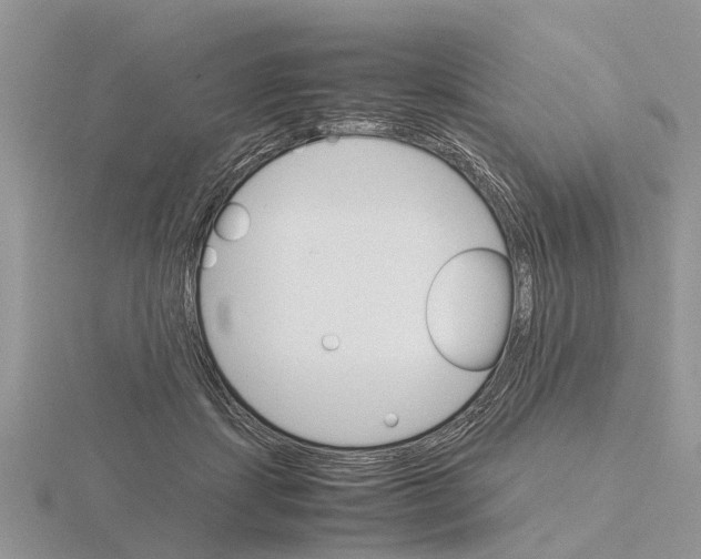 X0000115700459200912101219