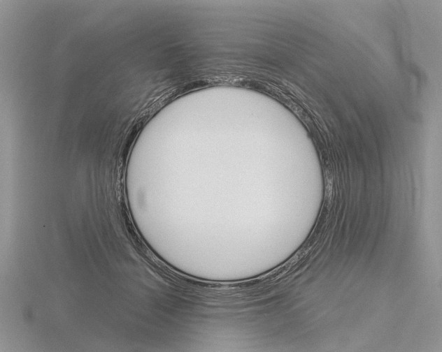 X0000115700460200912101219