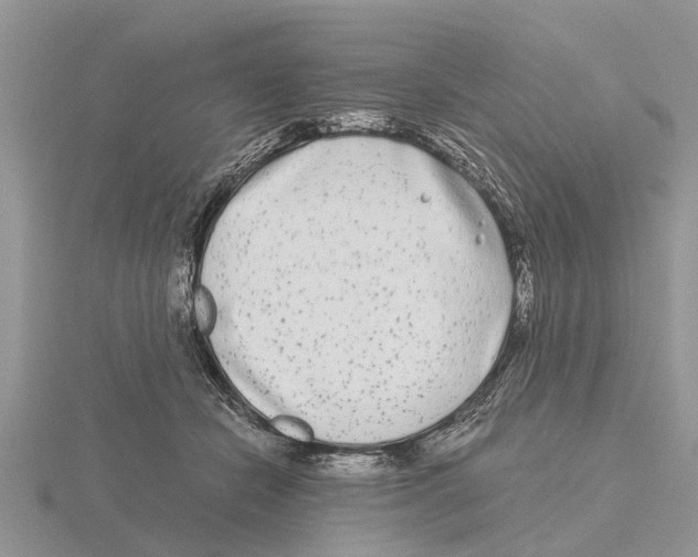 X0000115700462200912101219