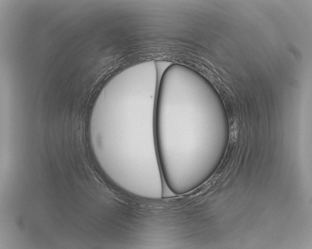 X0000115700464200912101219