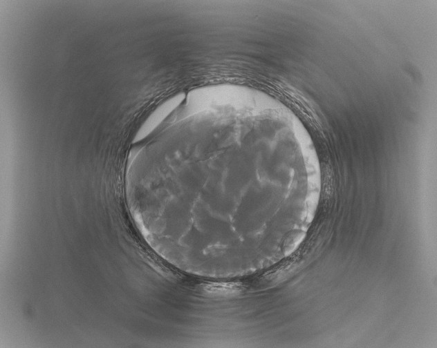 X0000115700465200912101219