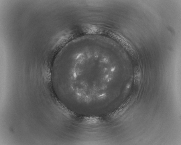 X0000115700469200912101219