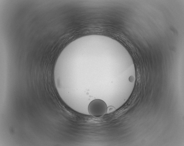 X0000115700471200912101219